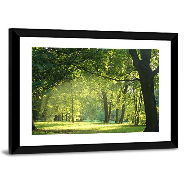 Trees In A Summer Forest Canvas Wall Art-3 Horizontal-Gallery Wrap-25" x 16"-Tiaracle