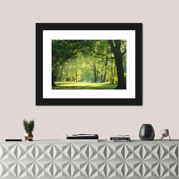 Trees In A Summer Forest Canvas Wall Art-3 Horizontal-Gallery Wrap-25" x 16"-Tiaracle