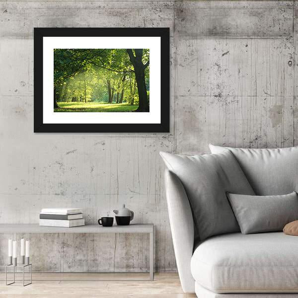 Trees In A Summer Forest Canvas Wall Art-3 Horizontal-Gallery Wrap-25" x 16"-Tiaracle