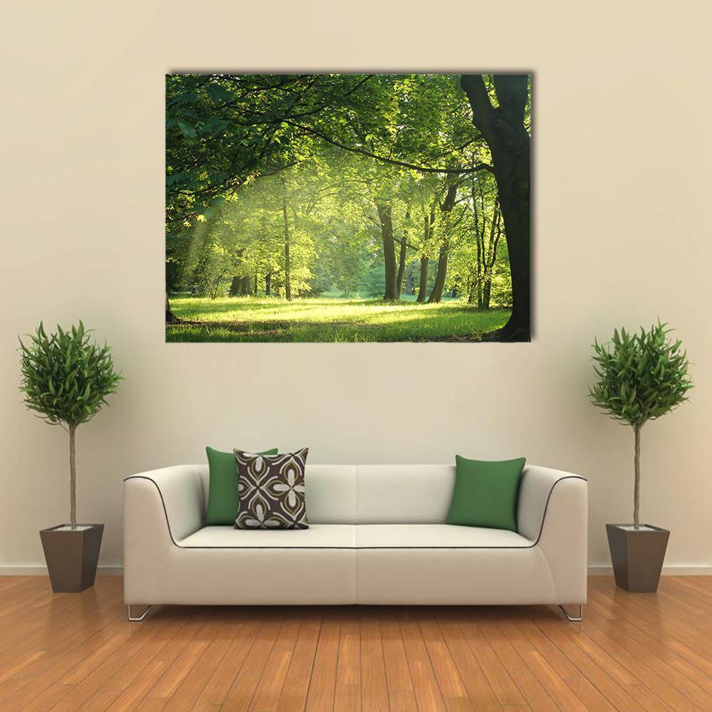 Trees In A Summer Forest Canvas Wall Art-1 Piece-Gallery Wrap-48" x 32"-Tiaracle