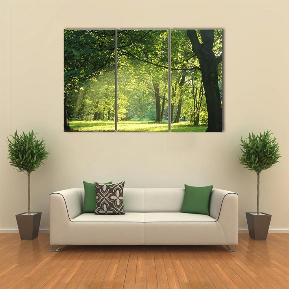 Trees In A Summer Forest Canvas Wall Art-3 Horizontal-Gallery Wrap-37" x 24"-Tiaracle