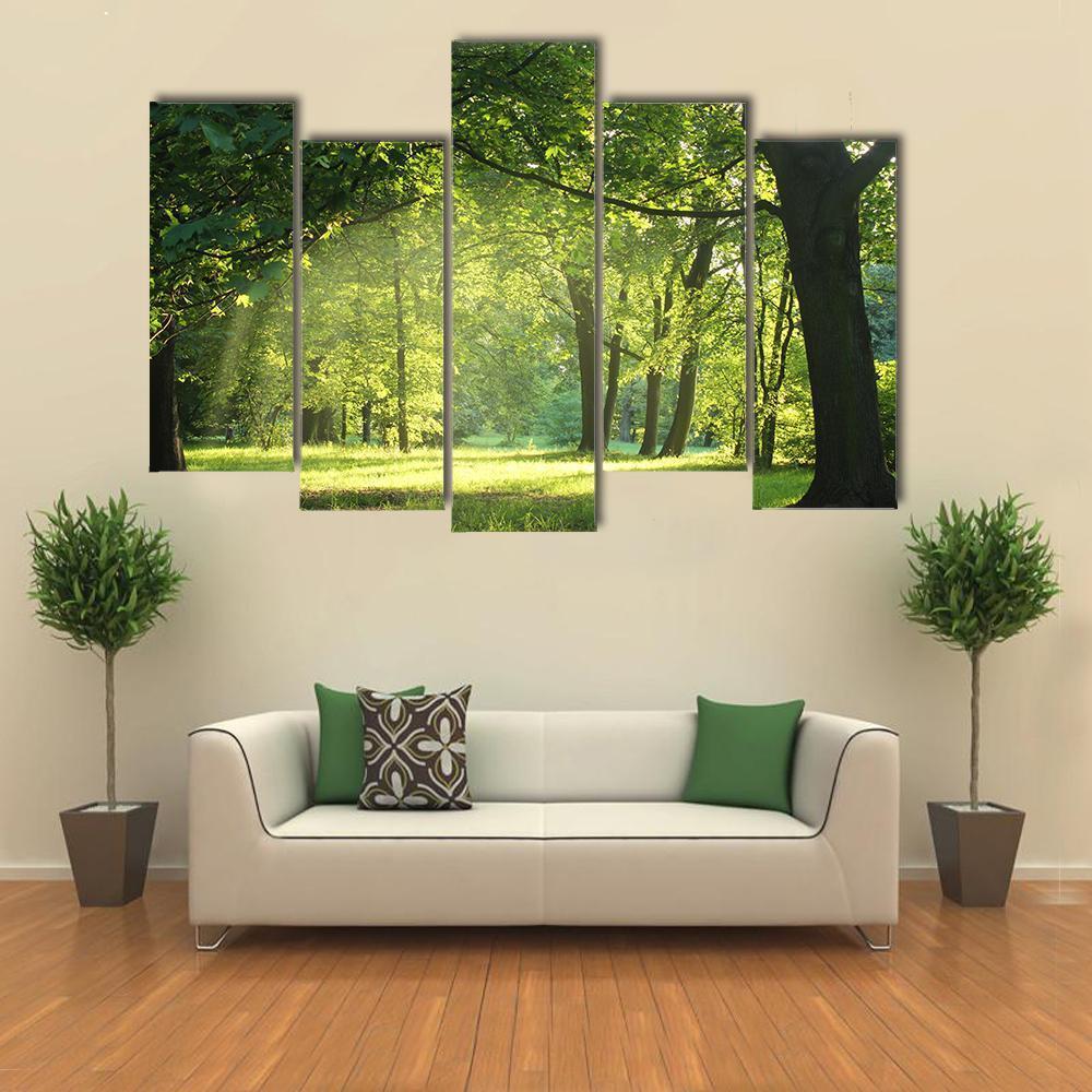 Trees In A Summer Forest Canvas Wall Art-5 Pop-Gallery Wrap-47" x 32"-Tiaracle