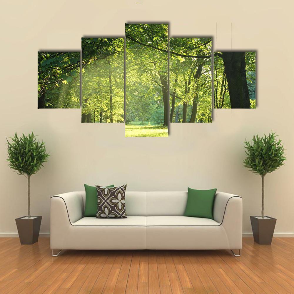 Trees In A Summer Forest Canvas Wall Art-5 Star-Gallery Wrap-62" x 32"-Tiaracle