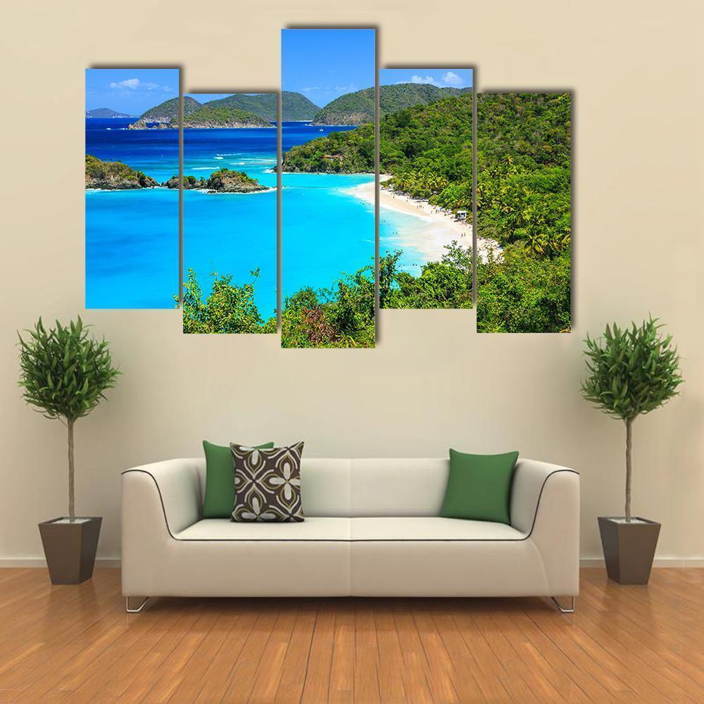 Trunk Bay On St John Island Canvas Wall Art-5 Pop-Gallery Wrap-47" x 32"-Tiaracle