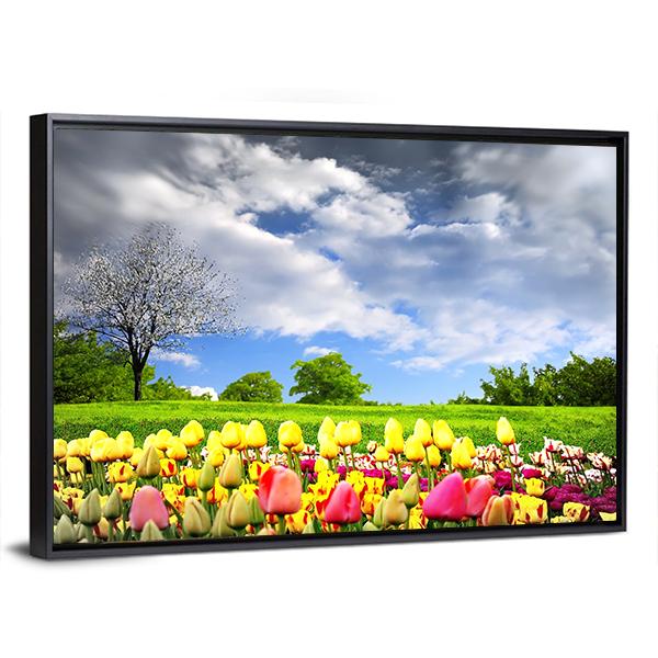 Tulips & Spring Meadow Canvas Wall Art-3 Horizontal-Gallery Wrap-25" x 16"-Tiaracle