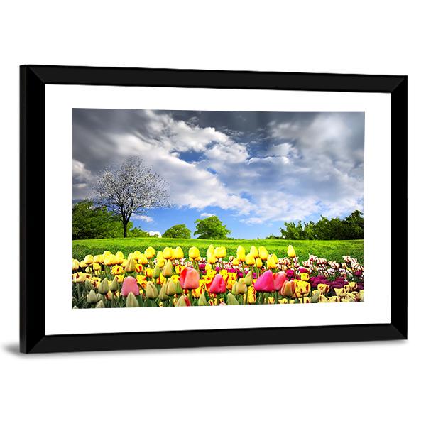 Tulips & Spring Meadow Canvas Wall Art-3 Horizontal-Gallery Wrap-25" x 16"-Tiaracle