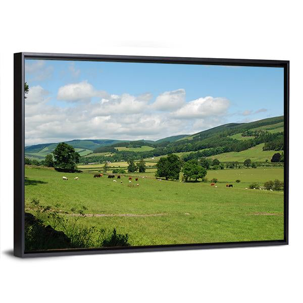 Tweed Valley Near Traquair Canvas Wall Art-3 Horizontal-Gallery Wrap-25" x 16"-Tiaracle