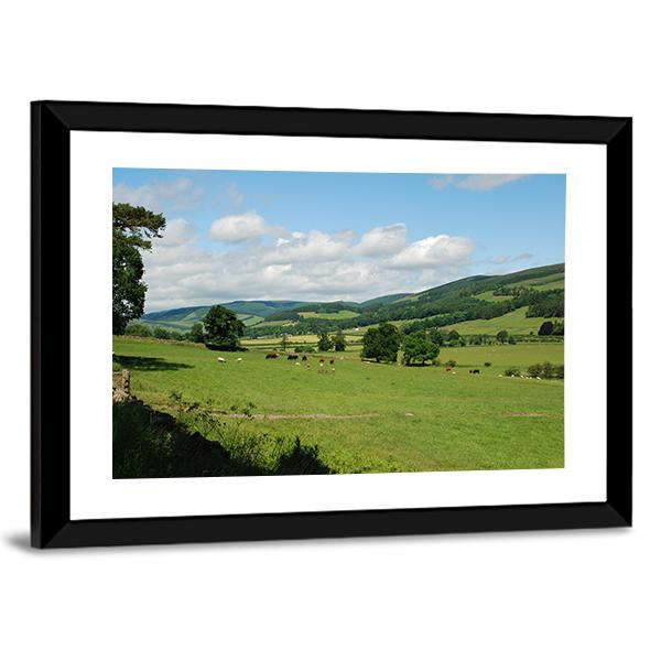 Tweed Valley Near Traquair Canvas Wall Art-3 Horizontal-Gallery Wrap-25" x 16"-Tiaracle