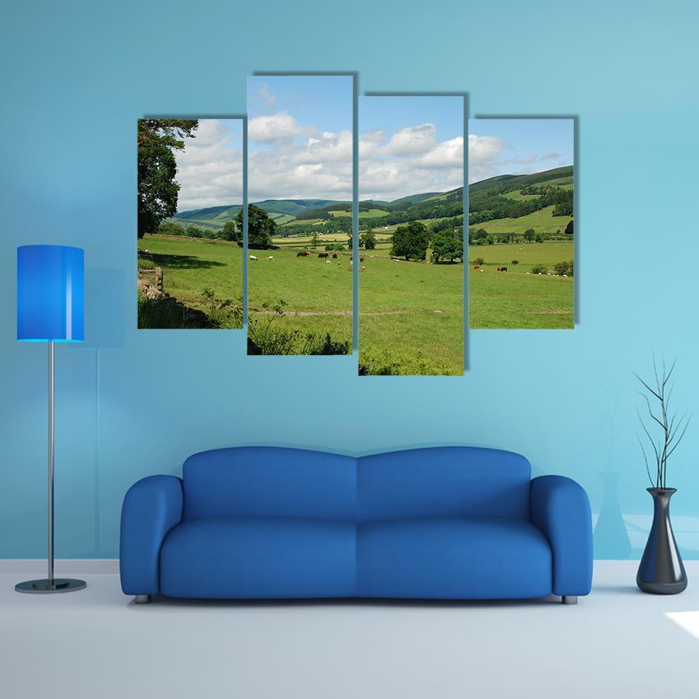Tweed Valley Near Traquair Canvas Wall Art-4 Pop-Gallery Wrap-50" x 32"-Tiaracle