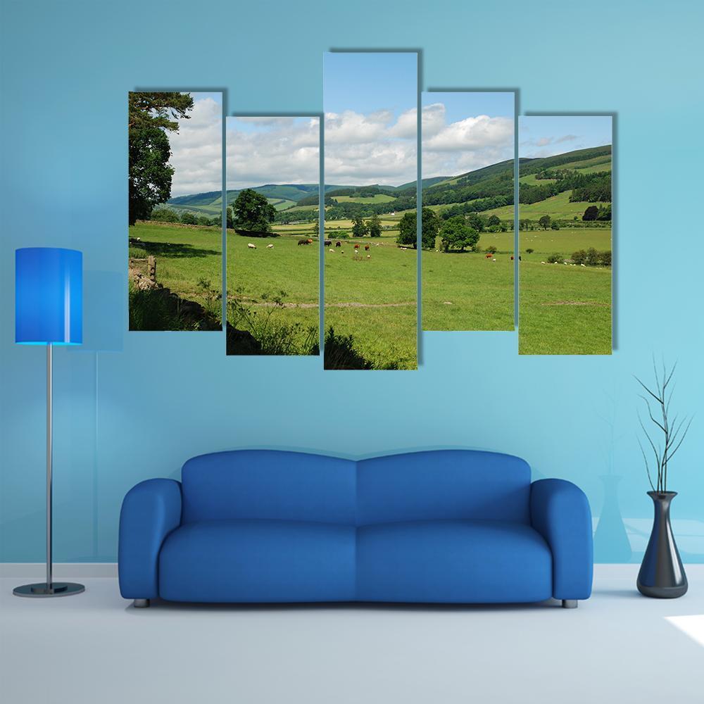 Tweed Valley Near Traquair Canvas Wall Art-5 Pop-Gallery Wrap-47" x 32"-Tiaracle
