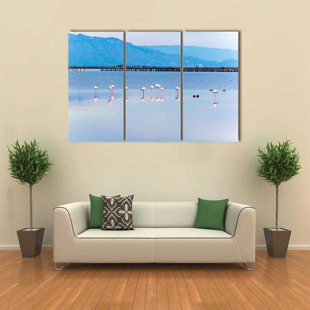 View Of Flamingo Group In Water Canvas Wall Art-3 Horizontal-Gallery Wrap-37" x 24"-Tiaracle