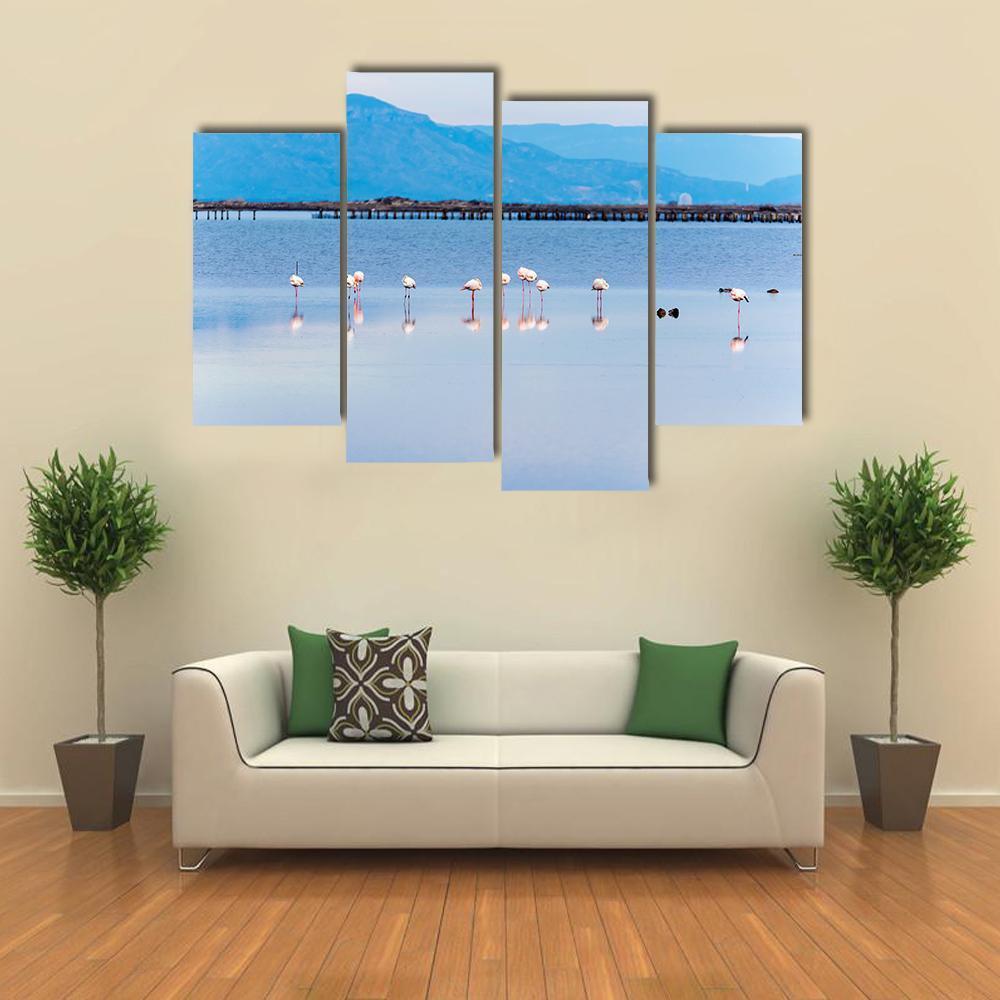 View Of Flamingo Group In Water Canvas Wall Art-4 Pop-Gallery Wrap-50" x 32"-Tiaracle