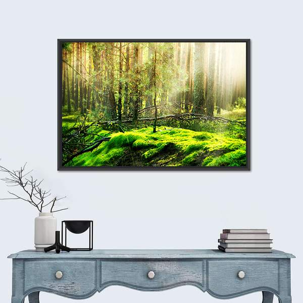 View Of Forest In Sunlight Canvas Wall Art-1 Piece-Floating Frame-24" x 16"-Tiaracle