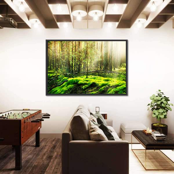 View Of Forest In Sunlight Canvas Wall Art-3 Horizontal-Gallery Wrap-25" x 16"-Tiaracle