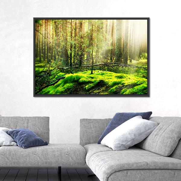 View Of Forest In Sunlight Canvas Wall Art-3 Horizontal-Gallery Wrap-25" x 16"-Tiaracle