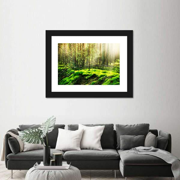 View Of Forest In Sunlight Canvas Wall Art-3 Horizontal-Gallery Wrap-25" x 16"-Tiaracle