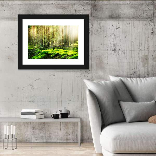 View Of Forest In Sunlight Canvas Wall Art-3 Horizontal-Gallery Wrap-25" x 16"-Tiaracle