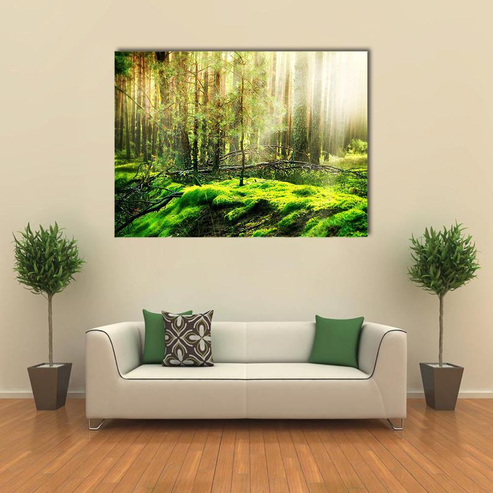 View Of Forest In Sunlight Canvas Wall Art-1 Piece-Gallery Wrap-48" x 32"-Tiaracle