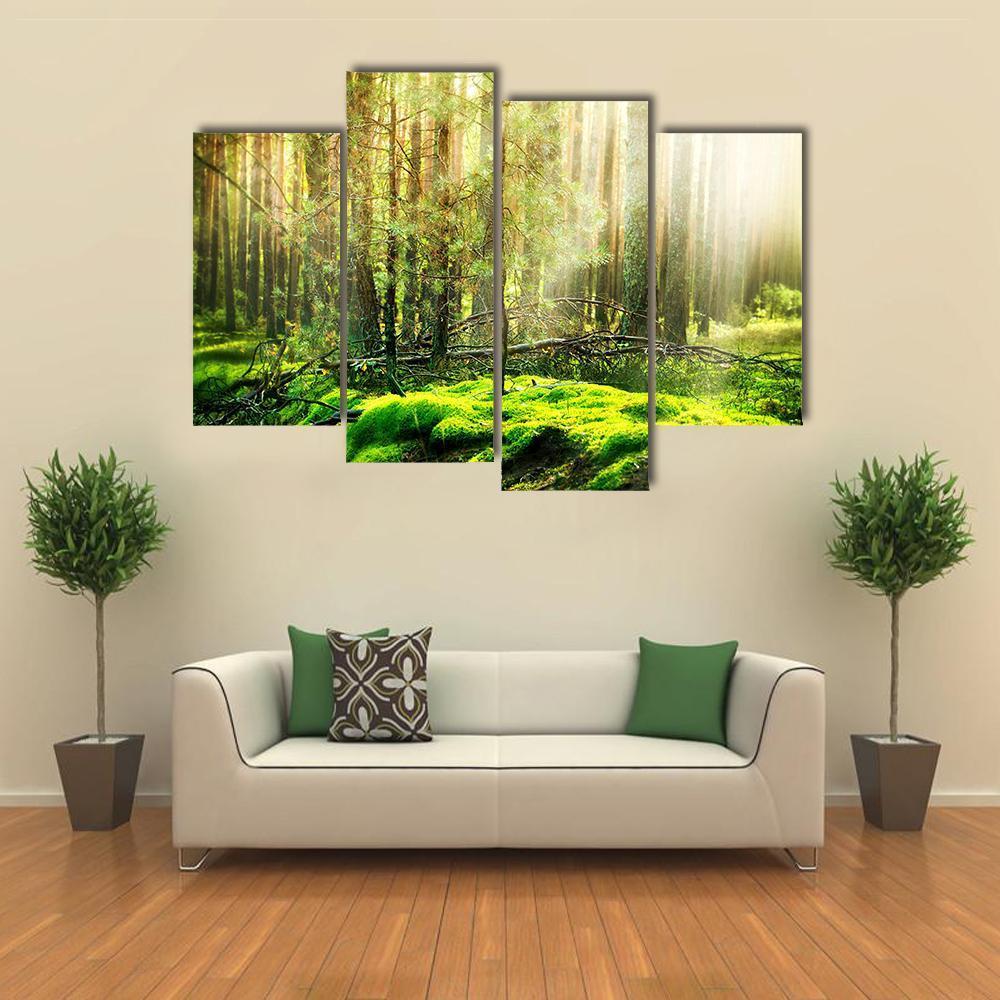 View Of Forest In Sunlight Canvas Wall Art-4 Pop-Gallery Wrap-50" x 32"-Tiaracle