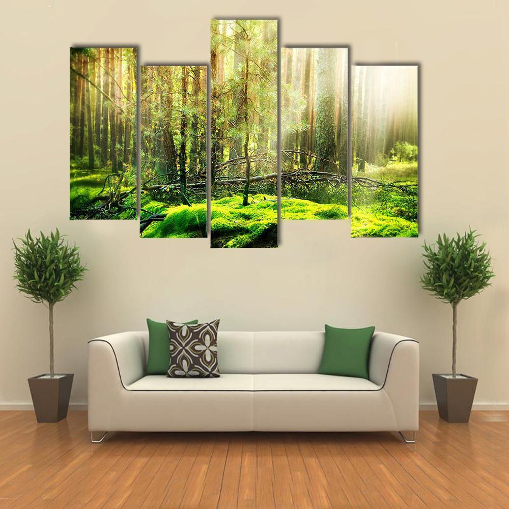 View Of Forest In Sunlight Canvas Wall Art-5 Pop-Gallery Wrap-47" x 32"-Tiaracle