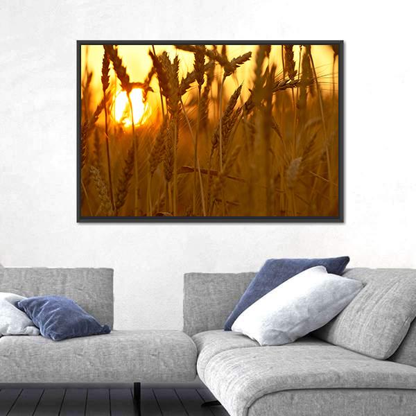 Wheat Crops In Sunset Closeup Canvas Wall Art-3 Horizontal-Gallery Wrap-25" x 16"-Tiaracle