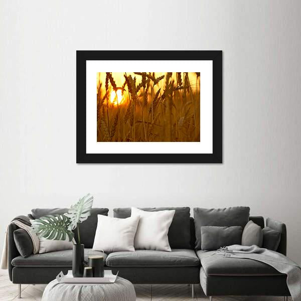 Wheat Crops In Sunset Closeup Canvas Wall Art-3 Horizontal-Gallery Wrap-25" x 16"-Tiaracle