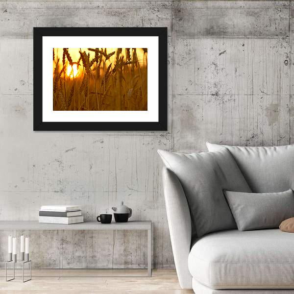 Wheat Crops In Sunset Closeup Canvas Wall Art-3 Horizontal-Gallery Wrap-25" x 16"-Tiaracle