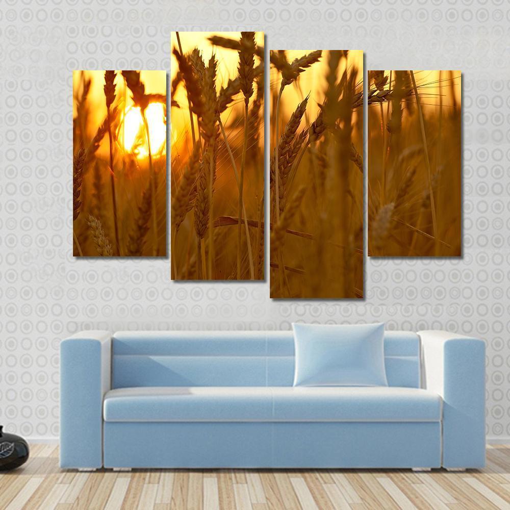 Wheat Crops In Sunset Closeup Canvas Wall Art-4 Pop-Gallery Wrap-50" x 32"-Tiaracle