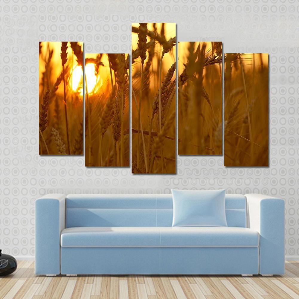 Wheat Crops In Sunset Closeup Canvas Wall Art-5 Pop-Gallery Wrap-47" x 32"-Tiaracle