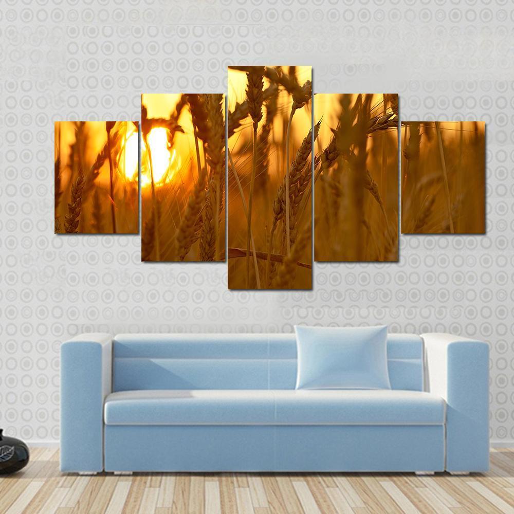 Wheat Crops In Sunset Closeup Canvas Wall Art-5 Star-Gallery Wrap-62" x 32"-Tiaracle