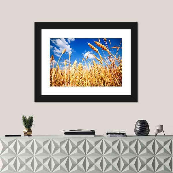 Wheat Field And Blue sky With Clouds Canvas Wall Art-1 Piece-Framed Print-20" x 16"-Tiaracle