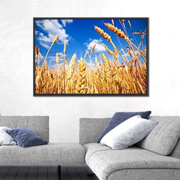 Wheat Field And Blue sky With Clouds Canvas Wall Art-3 Horizontal-Gallery Wrap-25" x 16"-Tiaracle