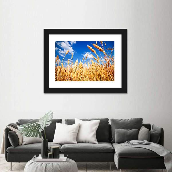 Wheat Field And Blue sky With Clouds Canvas Wall Art-3 Horizontal-Gallery Wrap-25" x 16"-Tiaracle