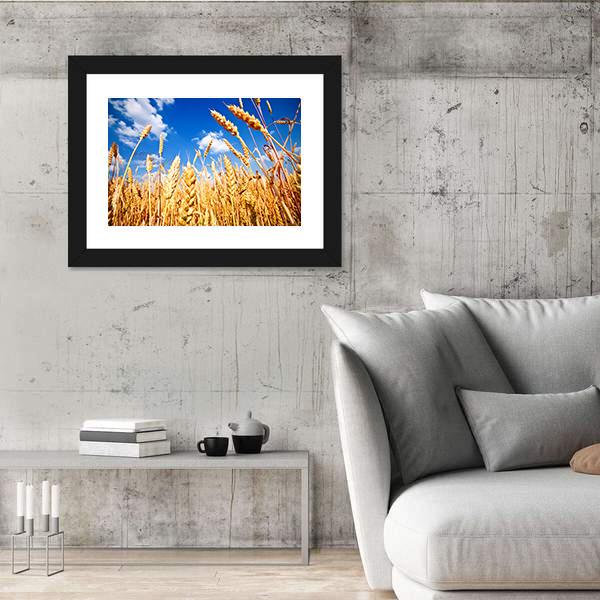 Wheat Field And Blue sky With Clouds Canvas Wall Art-3 Horizontal-Gallery Wrap-25" x 16"-Tiaracle