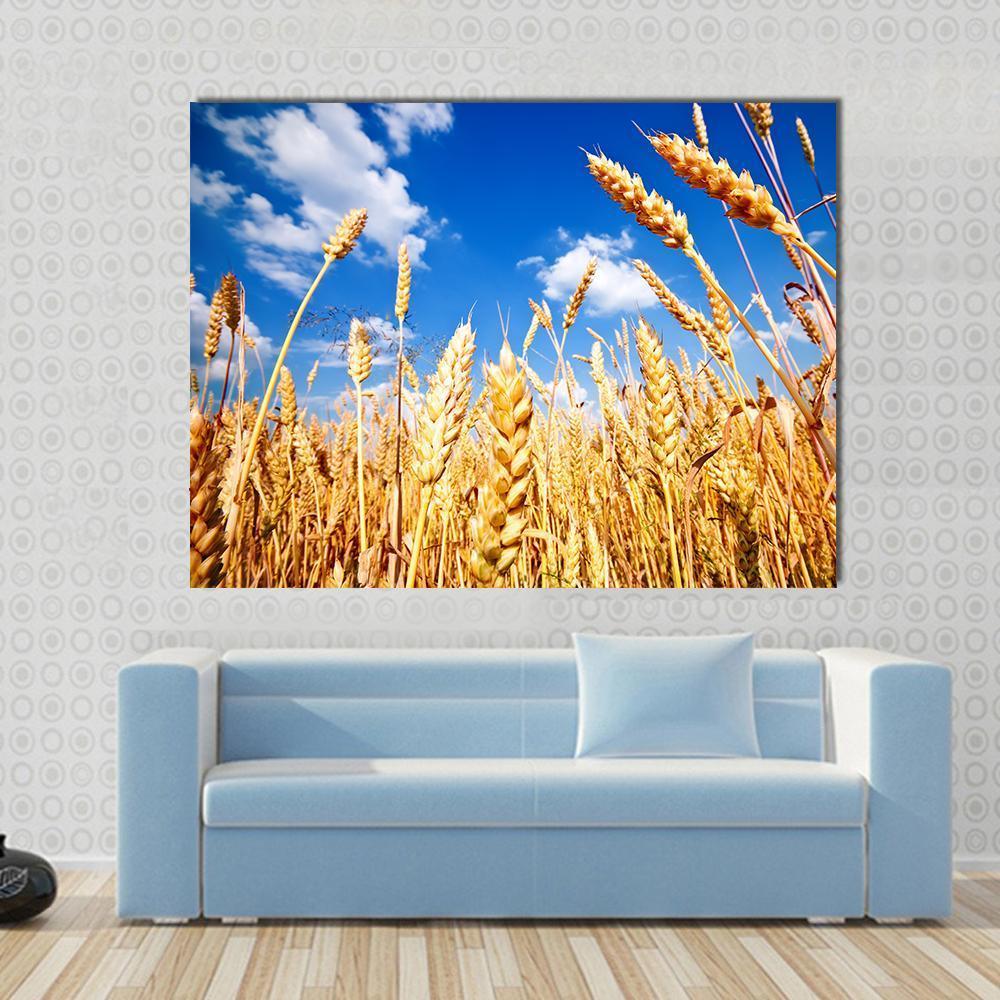 Wheat Field And Blue sky With Clouds Canvas Wall Art-1 Piece-Gallery Wrap-48" x 32"-Tiaracle