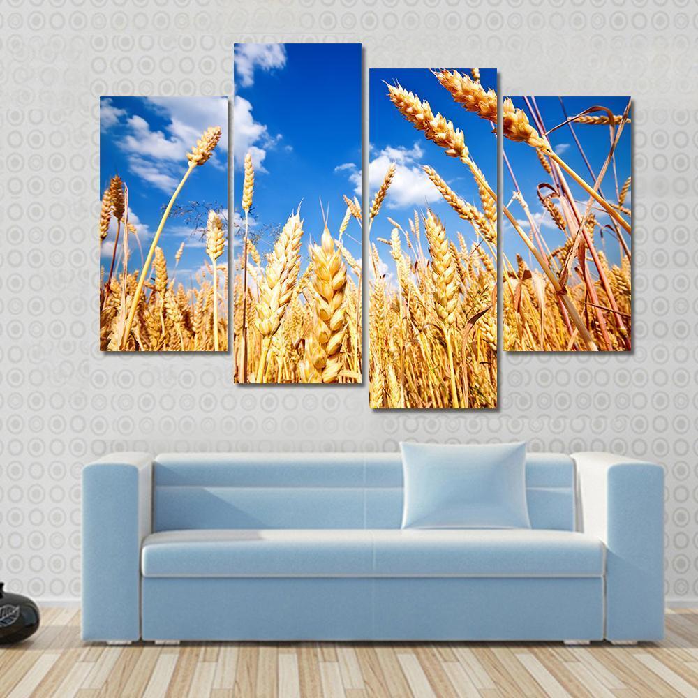 Wheat Field And Blue sky With Clouds Canvas Wall Art-4 Pop-Gallery Wrap-50" x 32"-Tiaracle