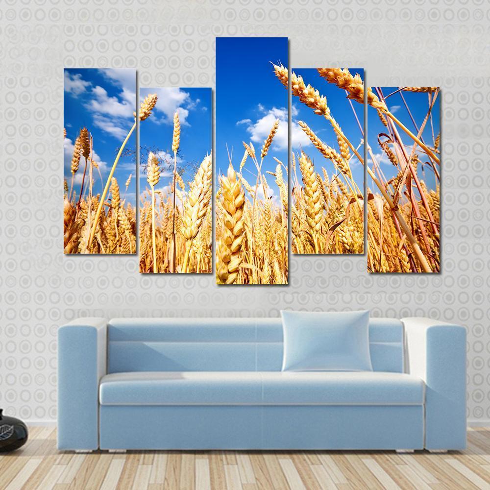 Wheat Field And Blue sky With Clouds Canvas Wall Art-5 Pop-Gallery Wrap-47" x 32"-Tiaracle