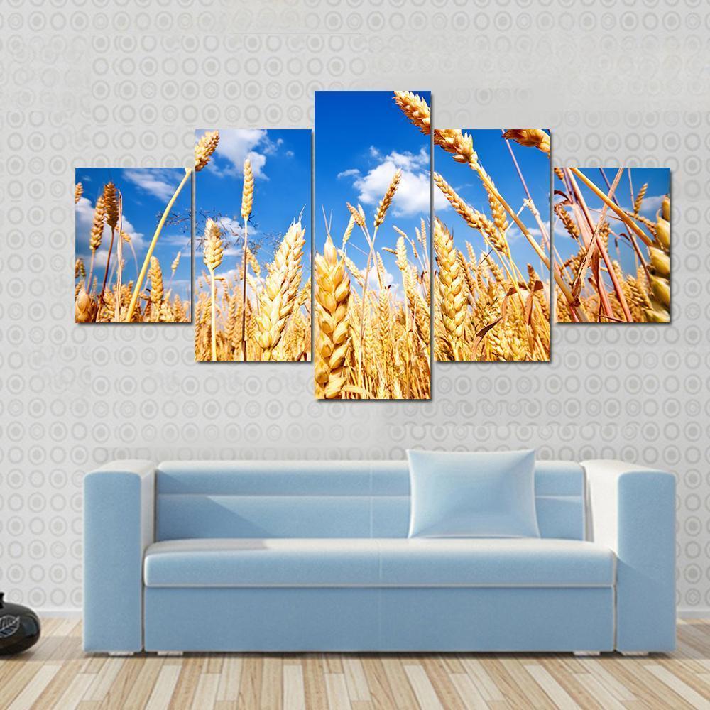 Wheat Field And Blue sky With Clouds Canvas Wall Art-5 Star-Gallery Wrap-62" x 32"-Tiaracle