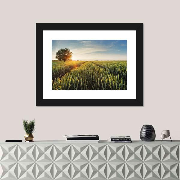 Wheat Field At Sunset Canvas Wall Art-1 Piece-Framed Print-20" x 16"-Tiaracle