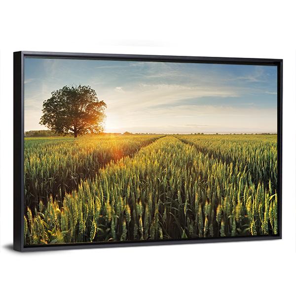 Wheat Field At Sunset Canvas Wall Art-3 Horizontal-Gallery Wrap-25" x 16"-Tiaracle