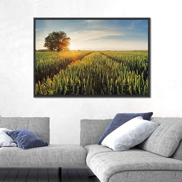 Wheat Field At Sunset Canvas Wall Art-3 Horizontal-Gallery Wrap-25" x 16"-Tiaracle