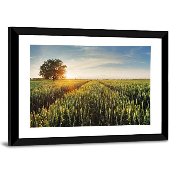 Wheat Field At Sunset Canvas Wall Art-3 Horizontal-Gallery Wrap-25" x 16"-Tiaracle