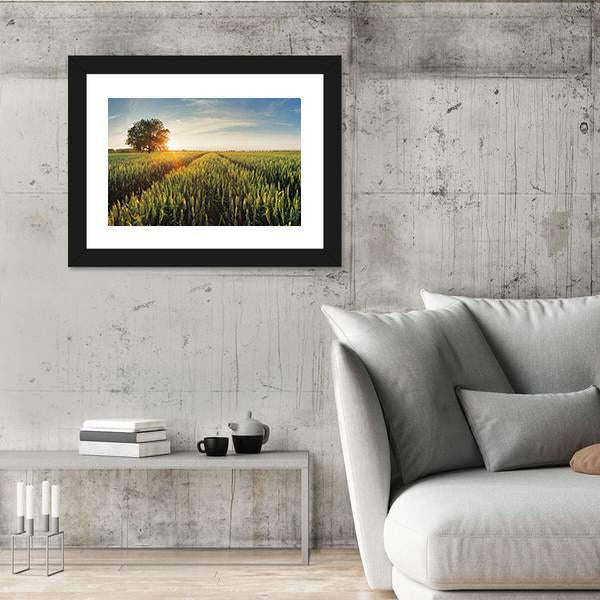 Wheat Field At Sunset Canvas Wall Art-3 Horizontal-Gallery Wrap-25" x 16"-Tiaracle