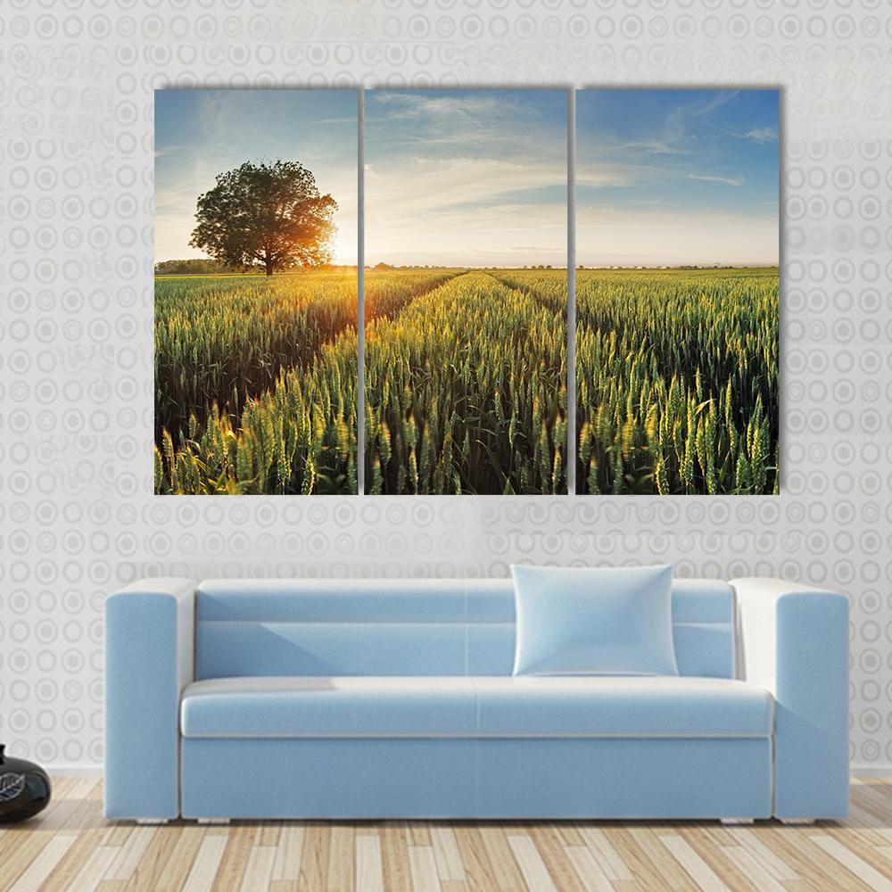 Wheat Field At Sunset Canvas Wall Art-3 Horizontal-Gallery Wrap-37" x 24"-Tiaracle