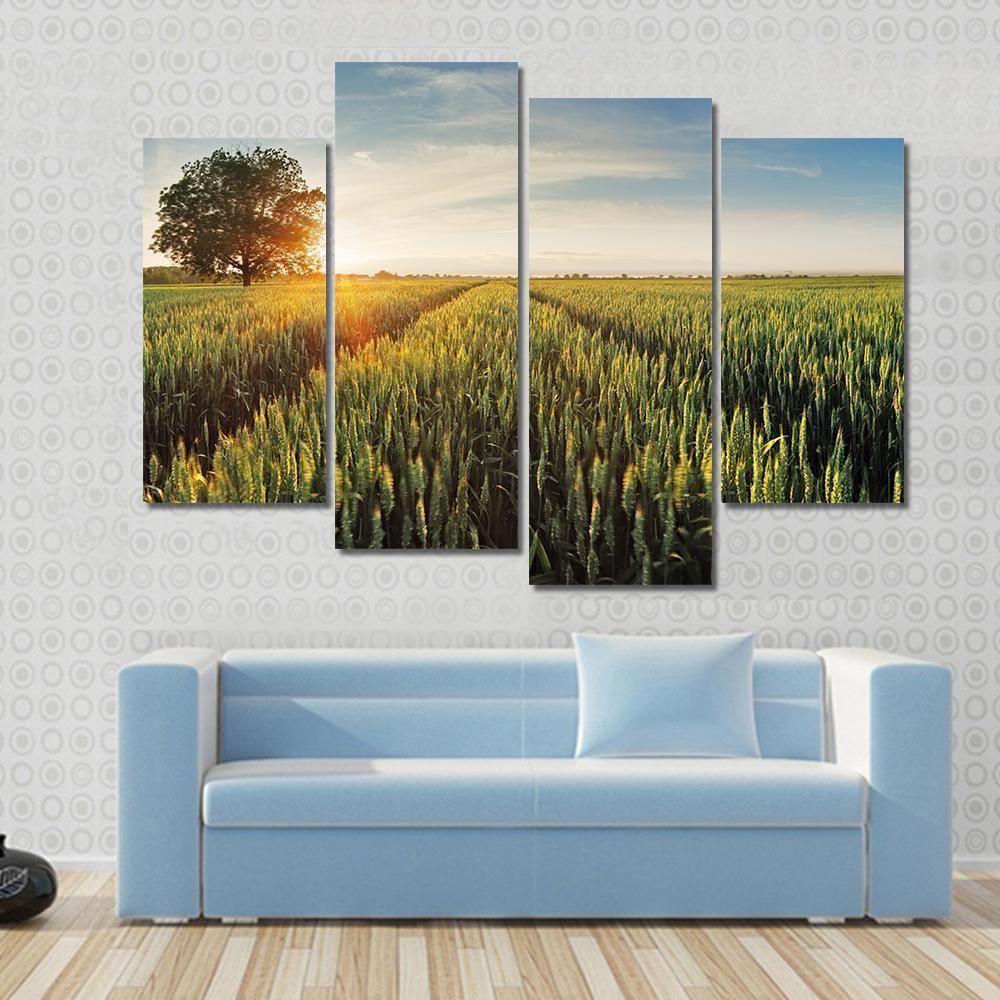 Wheat Field At Sunset Canvas Wall Art-4 Pop-Gallery Wrap-50" x 32"-Tiaracle