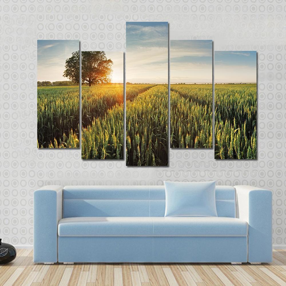 Wheat Field At Sunset Canvas Wall Art-5 Pop-Gallery Wrap-47" x 32"-Tiaracle