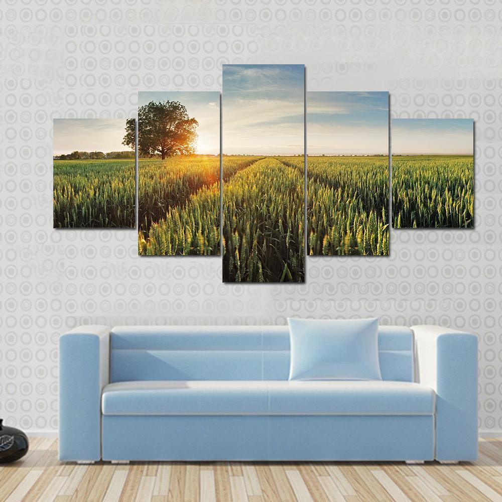 Wheat Field At Sunset Canvas Wall Art-5 Star-Gallery Wrap-62" x 32"-Tiaracle