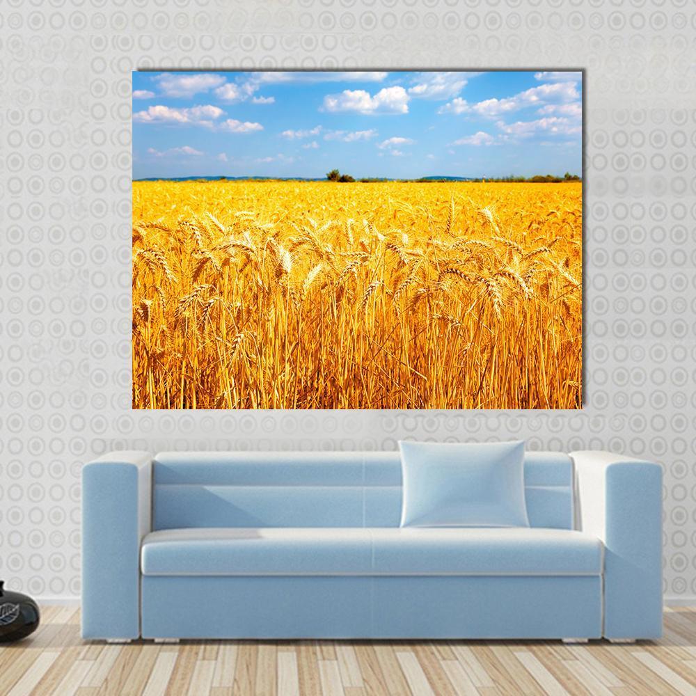 Wheat Ready For Harvest Canvas Wall Art-1 Piece-Gallery Wrap-48" x 32"-Tiaracle