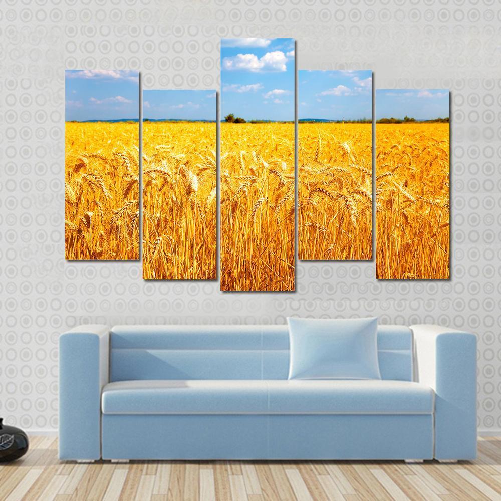 Wheat Ready For Harvest Canvas Wall Art-5 Pop-Gallery Wrap-47" x 32"-Tiaracle