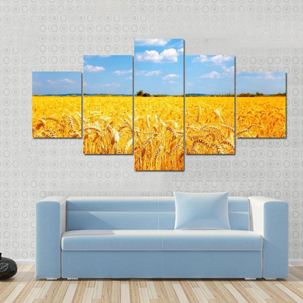 Wheat Ready For Harvest Canvas Wall Art-5 Star-Gallery Wrap-62" x 32"-Tiaracle